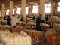 Sisal fibre grading and packing at the Dwa estate, in Kenya